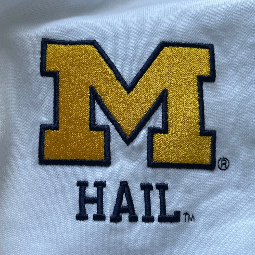 Nike Jordan‎ University of Michigan Wolverines HAIL to the Victors Polo T-Shirt - Picture 4 of 10